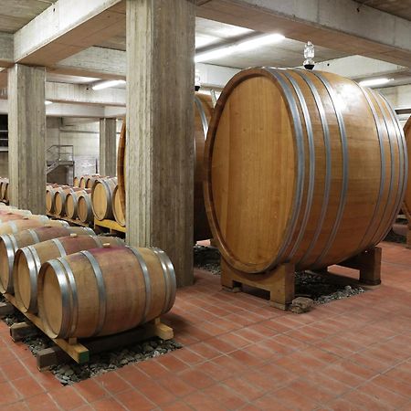 신기아노 Poderi Firenze 게스트하우스 외부 사진