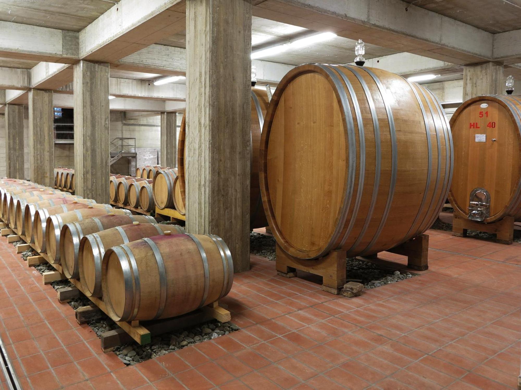 신기아노 Poderi Firenze 게스트하우스 외부 사진