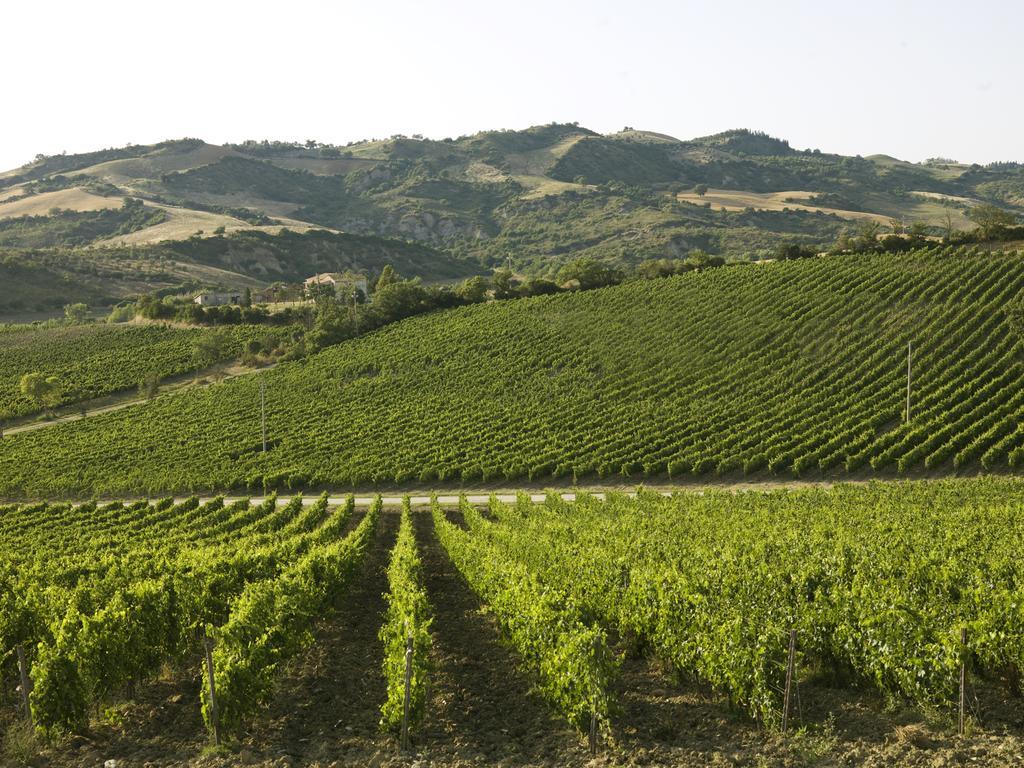 신기아노 Poderi Firenze 게스트하우스 외부 사진